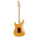 Fender Light Ash American Pro Stratocaster RW, Aged Natural - Back