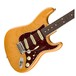 Fender Light Ash American Pro Stratocaster RW, Aged Natural - Body