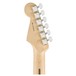 Fender Light Ash American Pro Stratocaster RW, Aged Natural - Tuning Machines