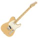 Fender Light Ash American Pro Telecaster MN, Honey Blonde