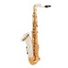 Yanagisawa TWO32 Tenor Saxophone, Silver Neck and Bell, Bronze Body