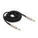 Coiled Jack Instrument Cable, 3m