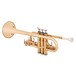 Coppergate D/Eb Trumpet by Gear4music