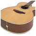 Takamine GN20CE Electro Acoustic, Natural