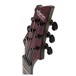 Schecter C-1 Apocalypse, Red Reign - Headstock