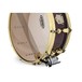 SJC Drums Providence 14x5.5 Snare, Merlot Ripple, Brass HW - Snare Bed