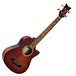 Ortega KT-WALKER-V2 Ken Taylor Electro Acoustic Bass, Distressed