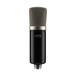 IMG Stageline ECMS-50USB Large-Diaphragm USB Condenser Microphone, Front Upright