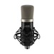 IMG Stageline ECMS-50USB USB Condenser Microphone, Front in Shock Mount