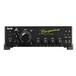 Bergantino Forté 800w Bass Head