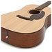 Martin DSTG Special Edition, Natural