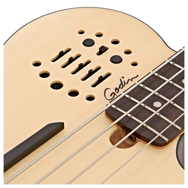 Godin A4 Ultra Bass Fretted at Gear4music