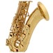 Yanagisawa TWO1 Tenor Sax, Brass