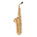 Yanagisawa TWO2 Tenor Saxophone, Bronze Body back