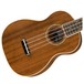 Fender Zuma Concert Ukulele WN, Natural Body View