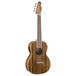 Fender Rincon Tenor Ukulele V2, Natural Upright