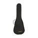 Fender Rincon Tenor Ukulele V2, Natural Bag