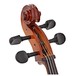 Student 3/4 Size Cello with Case, Antique Fade, by Gear4music