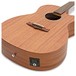 Tanglewood TW130 SM CE Premier Historic Electro Acoustic Guitar close
