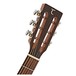 Tanglewood TW130 SM CE Premier Historic Electro Acoustic Guitar head