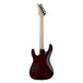 Dean Modern 24 Select Flame Top, Tiger Eye Back