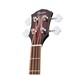 Fender T Bucket 300E Acoustic Bass, Trans Cherry Burst - headstock Front