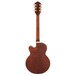 Gretsch G6659TFM Players Editon Broadkaster Jr, Bourbon Flame - back