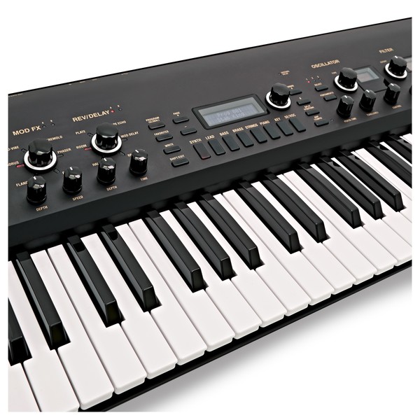 Korg KingKORG Synthesizer, Black keys close