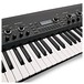 Korg KingKORG Synthesizer, Black keys close