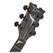 Dean Mako Dave Mustaine Flame Top Electro Acoustic, Gloss Natural head