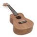Tanglewood TWT3 Tiare Concert Ukulele