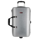 Protec BLT301T Triple Trumpet Case, Silver