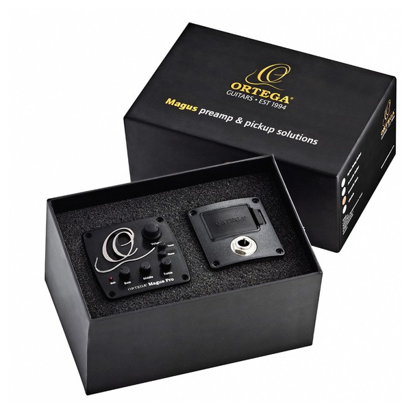 Ortega MagusPRO/G Professional Acoustic Active Preamp System Box