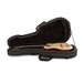 Godin Multiac Gypsy Jazz, Natural