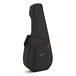 Godin Multiac Gypsy Jazz, Natural