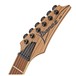 Ibanez RGEW521MZW, Natural Flat