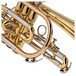 Besson BE120 Prodige Cornet, Clear Lacquer, Casew Standard Cornet, Clear Lacquer case open