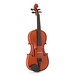 Gewa Aspirante Marseille Violin Outfit, Oblong Case front