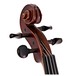 Gewa Aspirante Venezia Violin Outfit, Oblong Case head