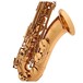 Elkhart 100TS Student Tenor Saxophone, Bell