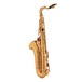 Elkhart 100TS Student Tenor Saxophone, Back