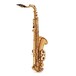 Elkhart 100TS Student Tenor Saxophone, Back