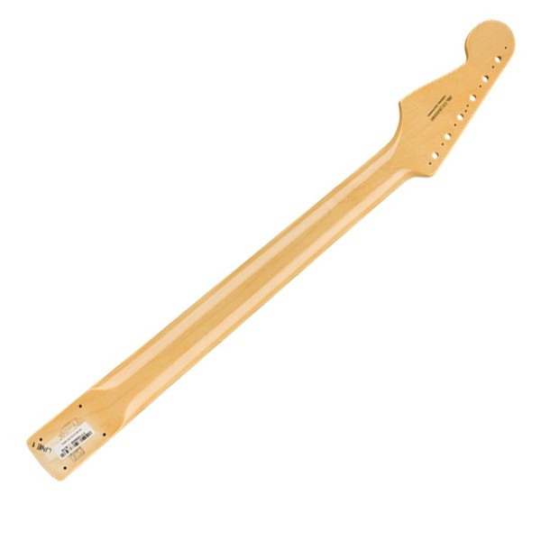 Fender American Original '60s Strat Neck RW, V-Shape/9.5" Radius - back