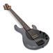 Music Man StingRay5 Special Bass EB, Charcoal Sparkle angle