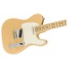 Fender Light Ash American Pro Telecaster MN, Honey Blonde - body