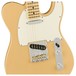 Fender Light Ash American Pro Telecaster MN, Honey Blonde - pickups