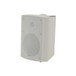 Adastra BP5V-W 5.25'' 100V Weatherproof Background Speaker, White, Angled