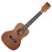 Freshman UKCONSAP Concert Ukulele, Sapele