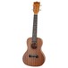 Freshman UKCONSAP Concert Ukulele, Sapele - upright