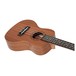 Freshman UKCONSAP Concert Ukulele, Sapele - flat